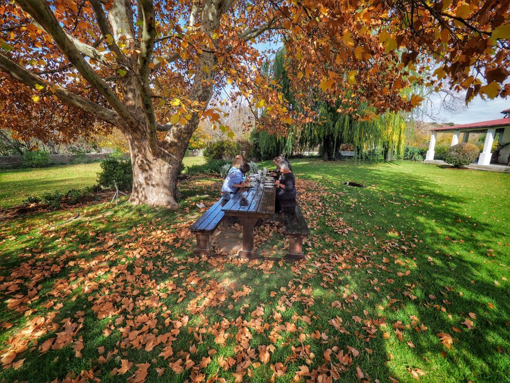 Ganora Guest Farm, Camping And Excursions Nieu-Bethesda 外观 照片